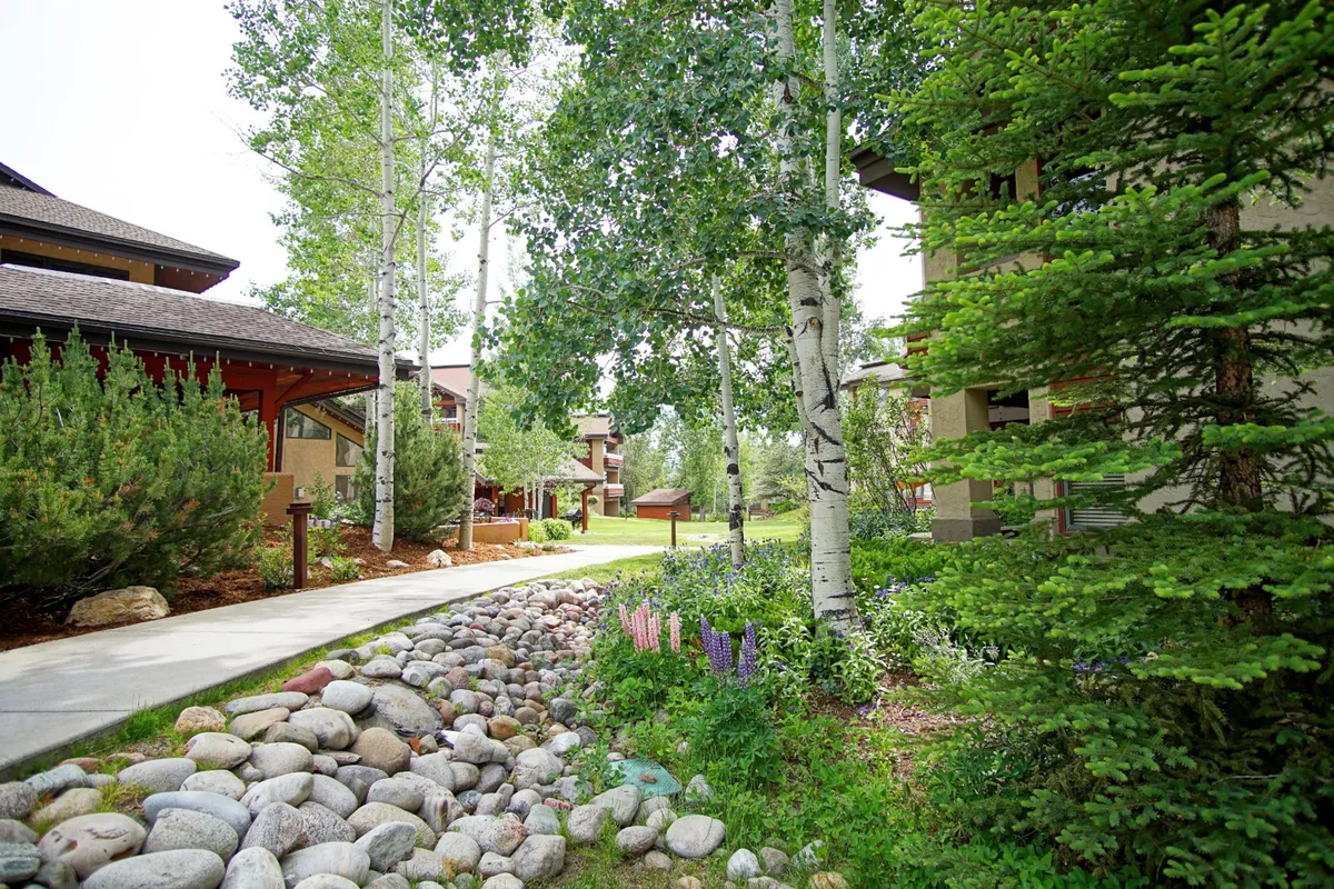 A peaceful exterior view of aspen trees lining a rock pathway, flower beds, and nearby residential buildings. The scene invites exploration and tranquil walks through landscaped nature areas right outside the door.