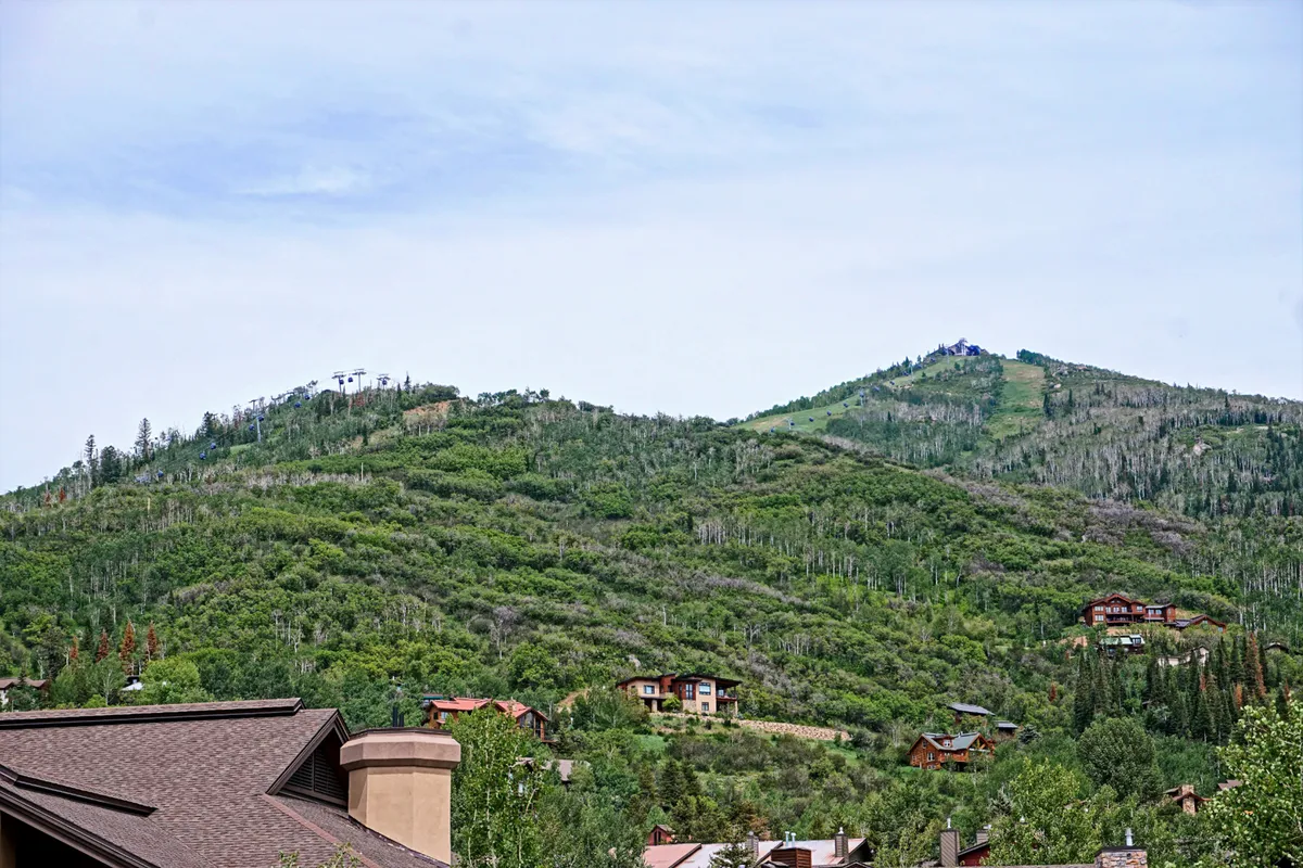 A sweeping view of majestic mountains framed by dense greenery and scattered homes. The landscape hints at the property's proximity to skiing, hiking, and vibrant outdoor adventures while offering a tranquil retreat backdrop.